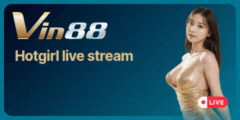 vin88